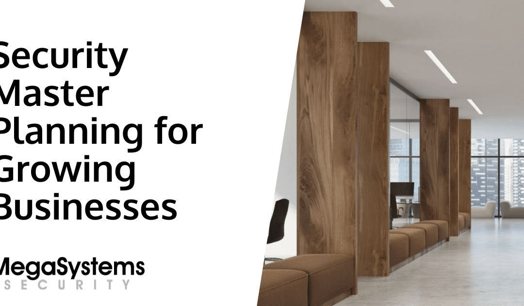 Security Master Planning for Growing Businesses